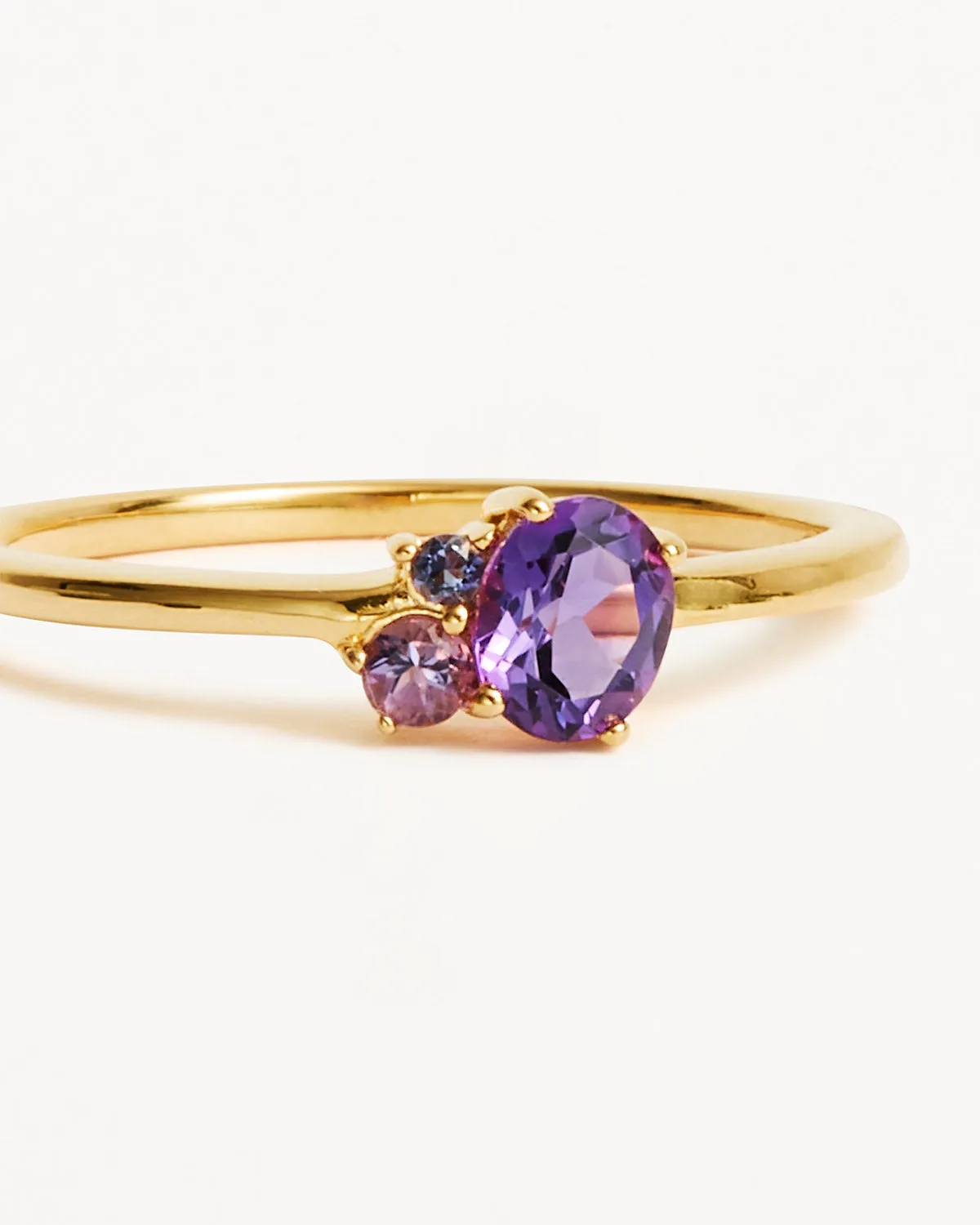 18k Gold Vermeil Kindred Birthstone Ring - February