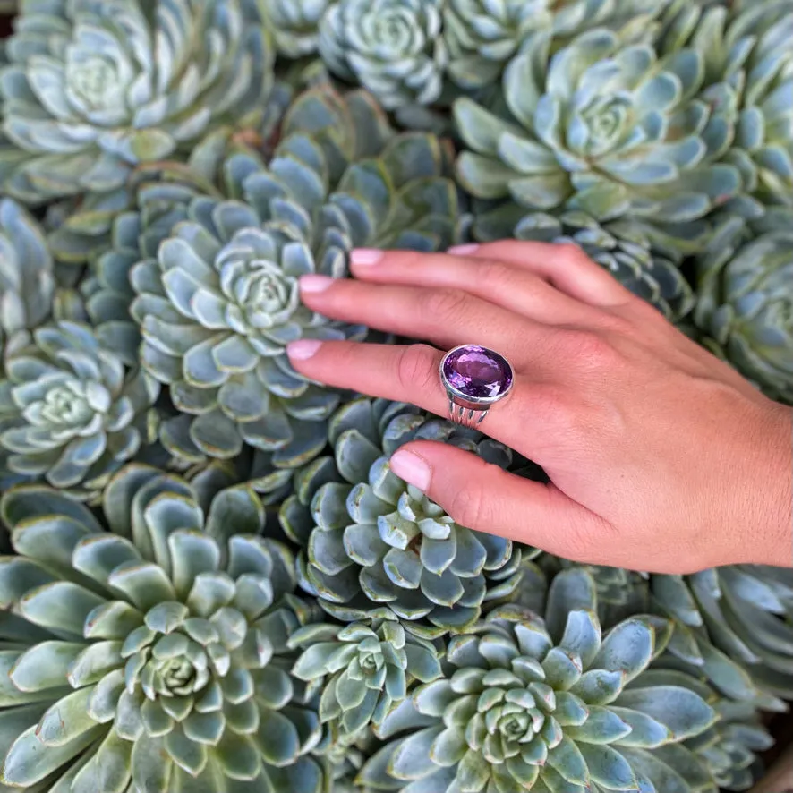 Amethyst Ring - Lila