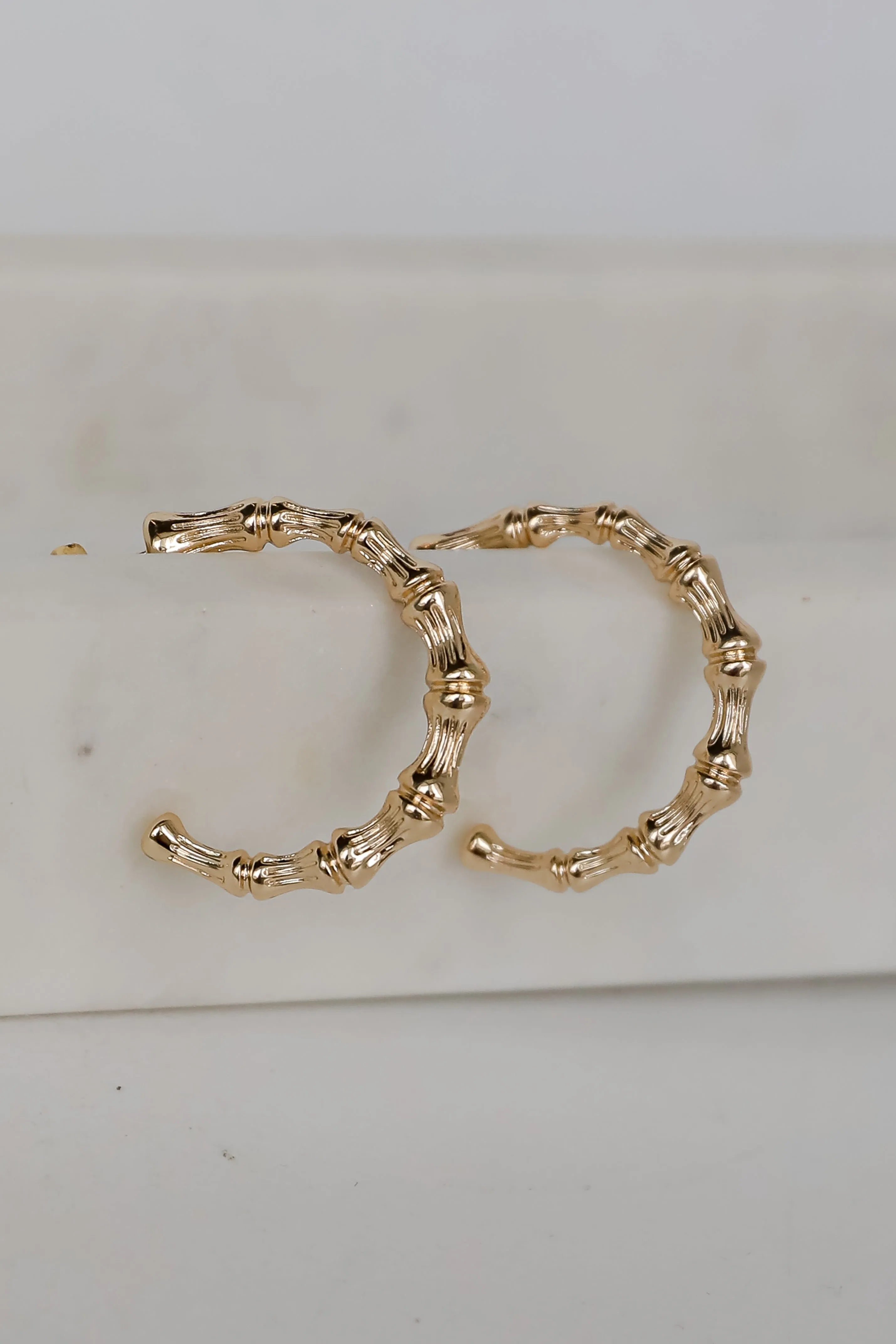 Delaney Gold Textured Hoop Earrings